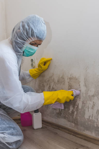  Stanfield, OR Mold Removal Pros