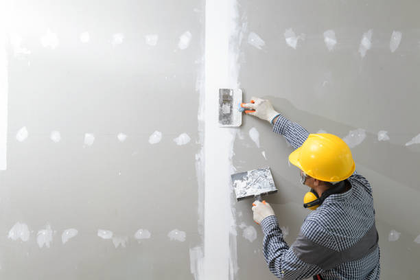 Best Post-Construction Mold Inspection  in Stanfield, OR
