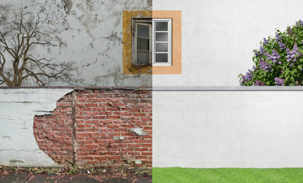 Best Environmental Consulting for Mold Prevention  in Stanfield, OR